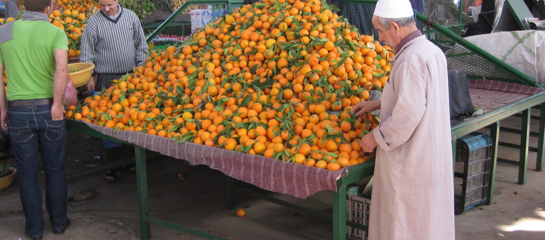 Maroc : La société Zalar Agri décroche un financement de 24 millions de $ pour développer ses exportations de fruits et légumes