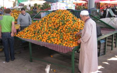 Maroc : La société Zalar Agri décroche un financement de 24 millions de $ pour développer ses exportations de fruits et légumes
