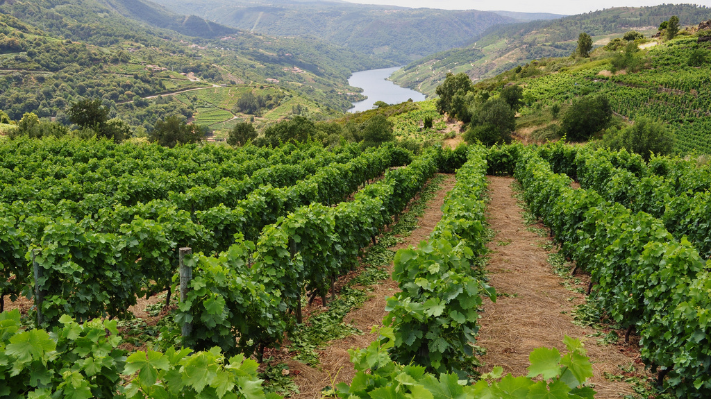 En Espagne, les travailleurs Marocains préservent la région d'Aragon