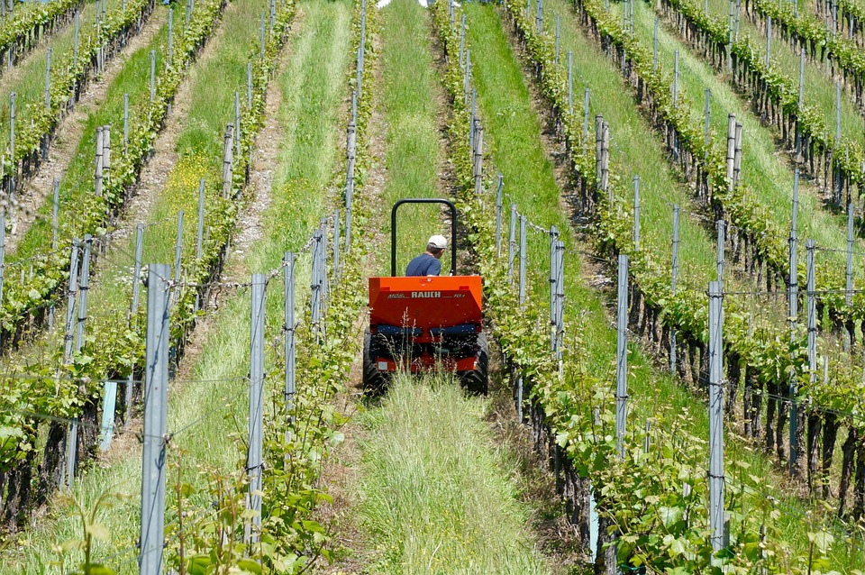 Algérie : 350 000 hectares de terres agricoles octroyés aux investisseurs en 2 ans