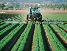 La Tunisie lance un projet d’intensification de l’agriculture irriguée