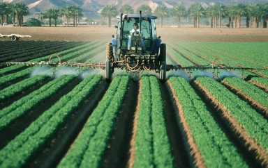 La Tunisie lance un projet d’intensification de l’agriculture irriguée