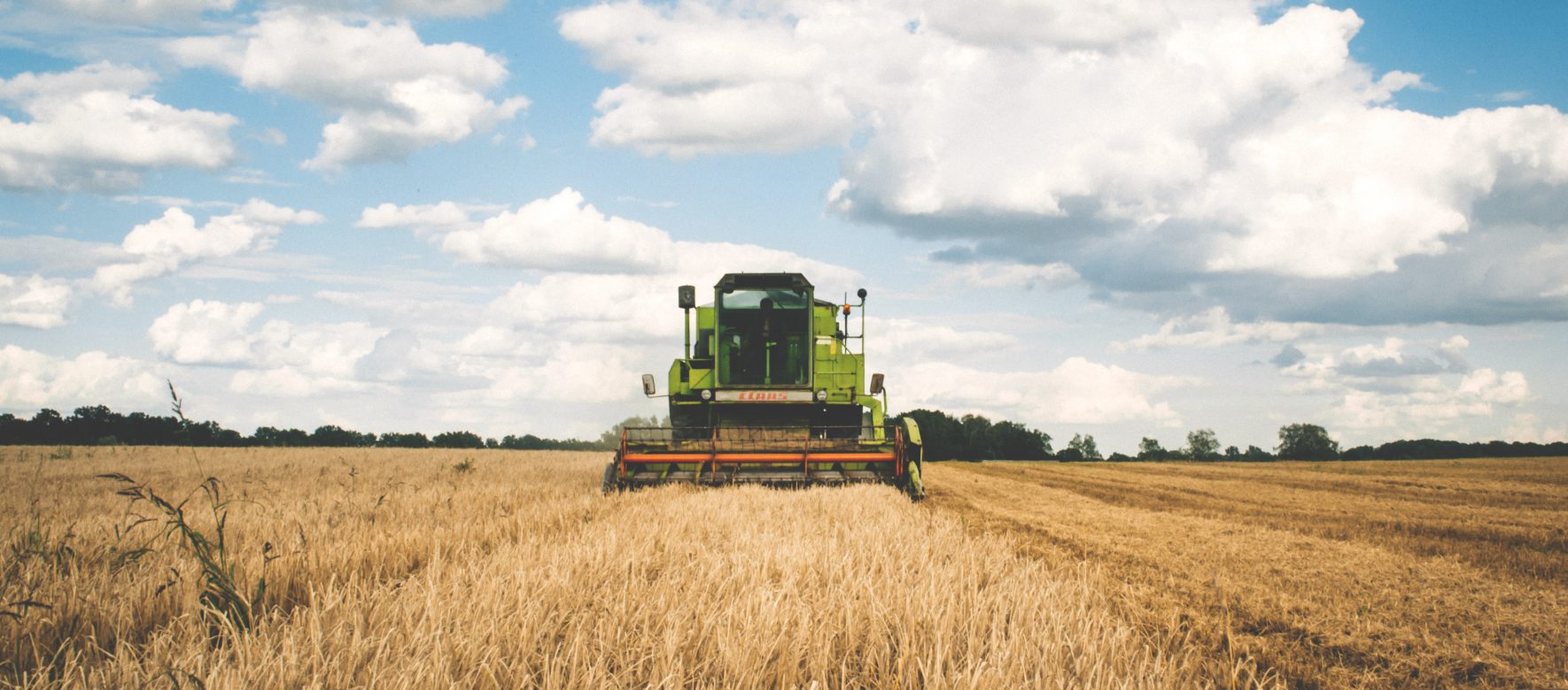 Agriculture : la balance commerciale tunisienne passe dans le vert !