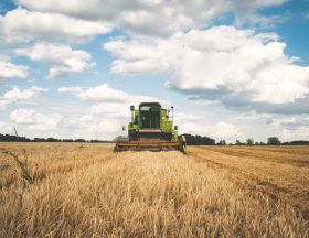 Agriculture : la balance commerciale tunisienne passe dans le vert !