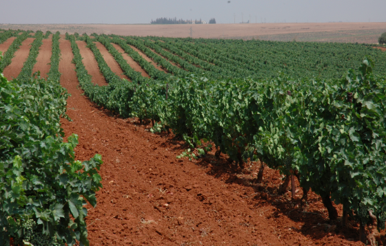 Algeria’s trying to boost its agriculture 1