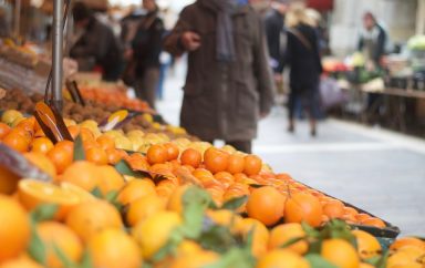 Maroc : feu vert pour les exportaions d'agrumes vers les Etats Unis