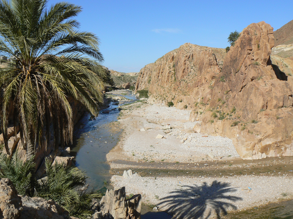 Le label « Bassma Djazairia » pour valoriser les produits locaux se développe en Algérie