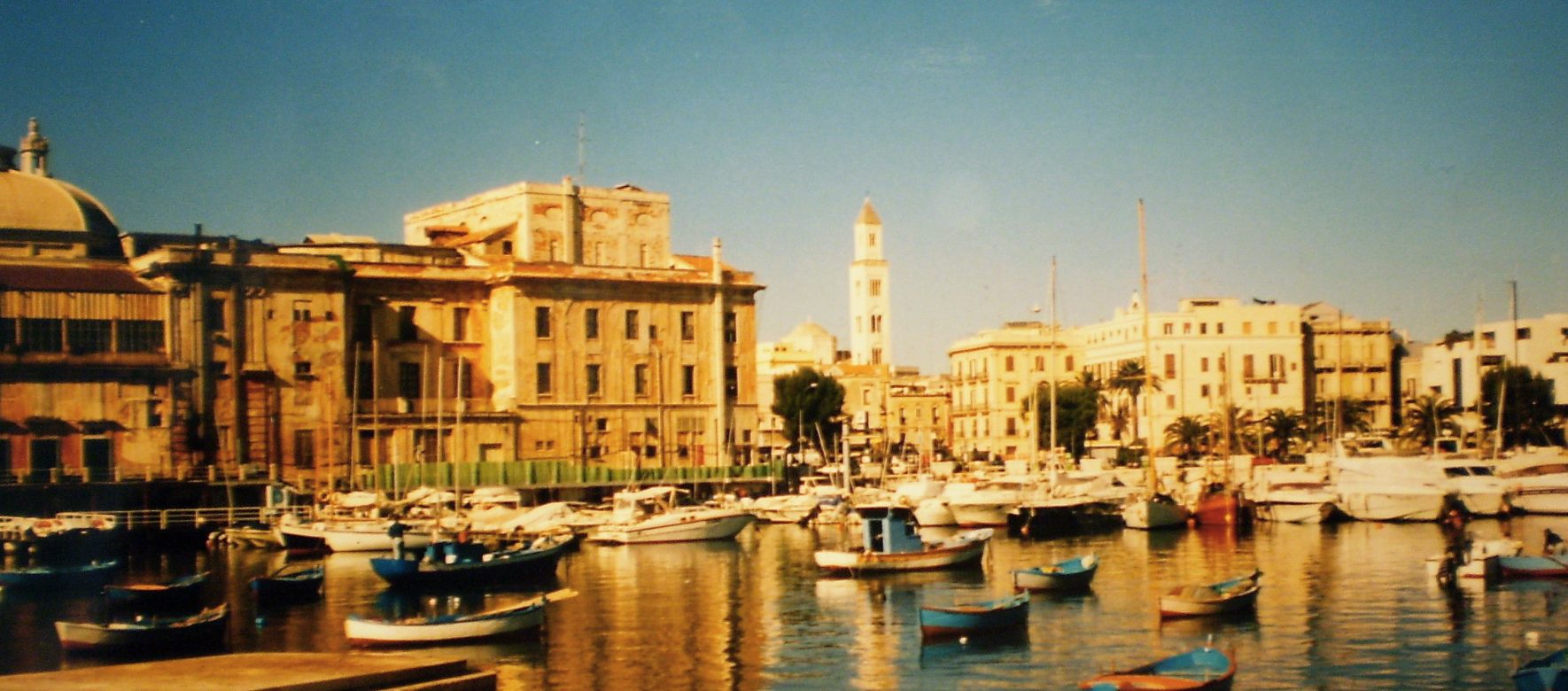Le modèle culturel libanais mis à l'honneur lors d’une conférence en Italie
