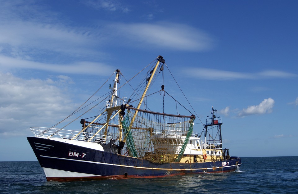 Israël : L’élargissement de la zone de pêche à Gaza est prolongée de 15 jours supplémentaires