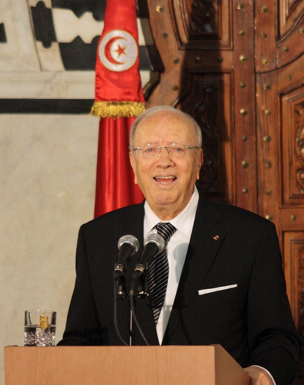 La Tunisie veut ouvrir 2 nouvelles ambassades et 5 bureaux commerciaux en Afrique