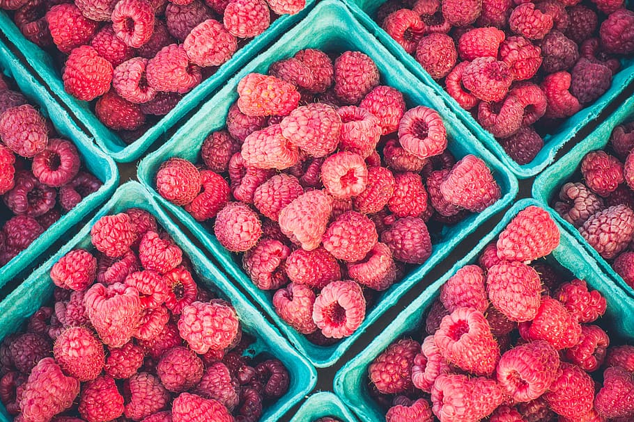 Maroc : Les exportateurs de framboises auront désormais accès au marché américain