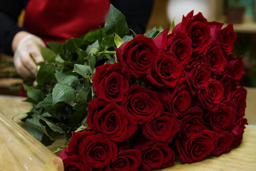 Israël produit 1,5 milliard de roses chaque année