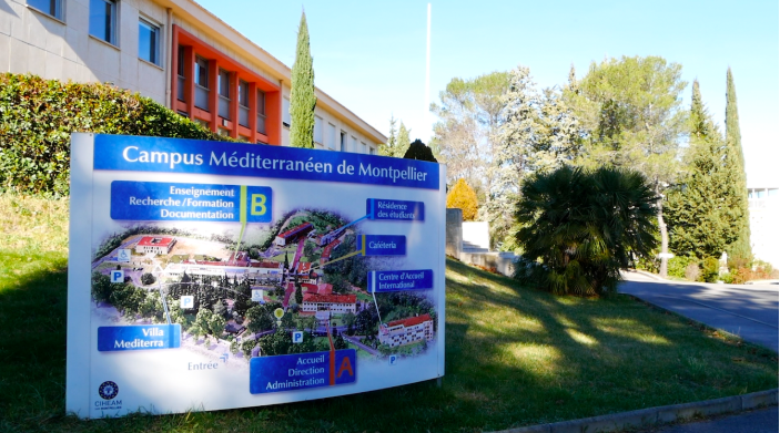 Spotlight on the CIHEAM-IAMM (Mediterranean Agronomic Institute of Montpellier) 2