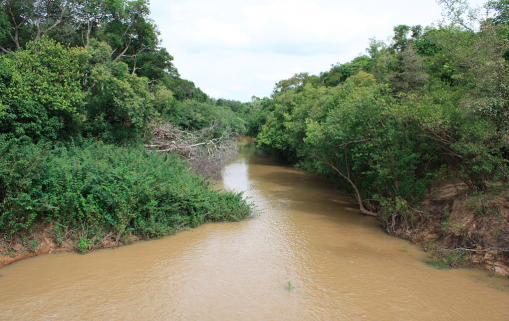 Maroc : La Société générale des travaux du Maroc vient de gagner le contrat de l’ouverture du fleuve Comoé en Côte d’Ivoire pour 64 milliards de $ !