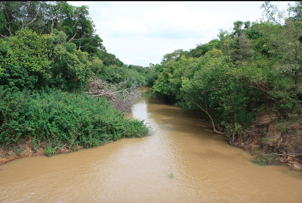 Maroc : La Société générale des travaux du Maroc vient de gagner le contrat de l’ouverture du fleuve Comoé en Côte d’Ivoire pour 64 milliards de $ !