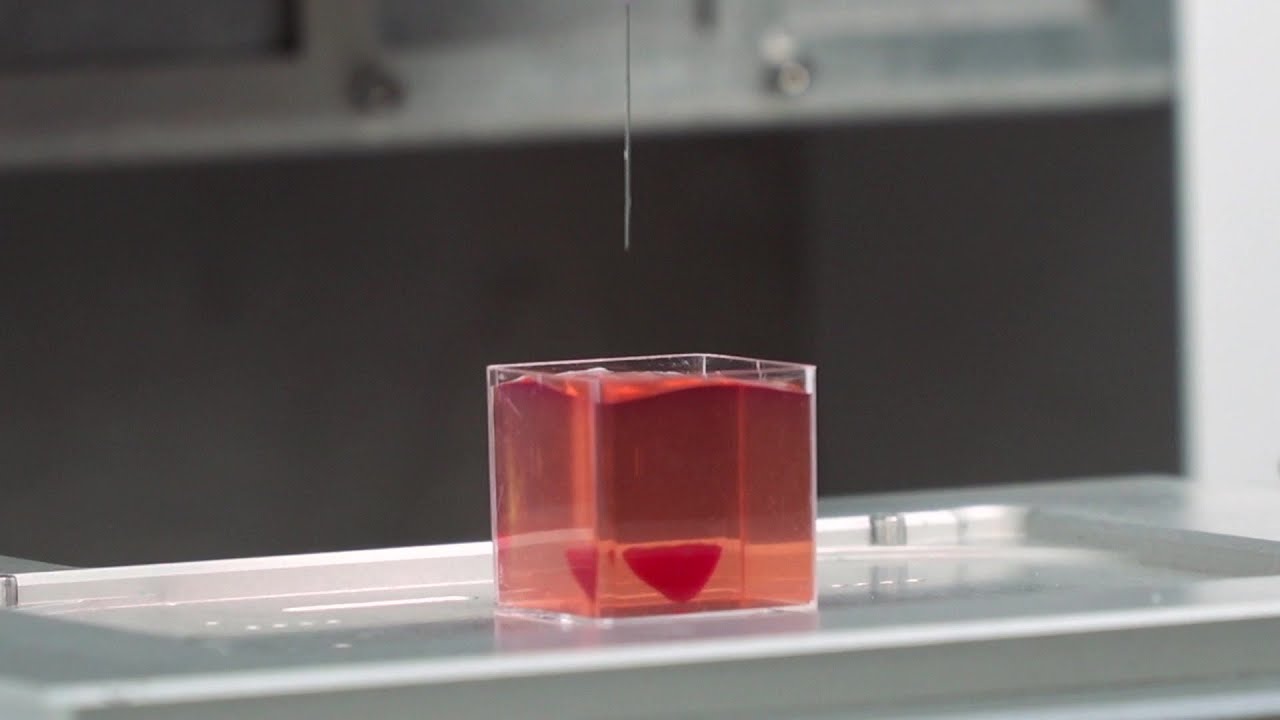 Israël : des scientifiques révèlent un prototype de cœur en 3D à partir de tissus humains