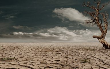 L’Afrique et le Moyen-Orient, premières victimes du réchauffement climatique ?