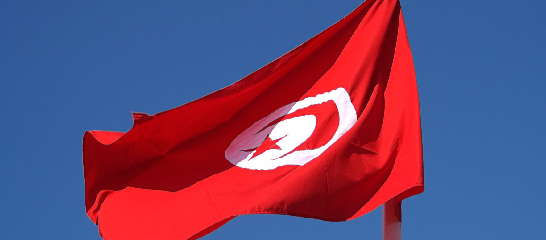 Ces startups tunisiennes qui montrent la voie
