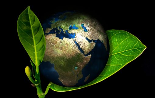Afrique/Moyen-Orient : Comment atteindre les objectifs de développement durable ?