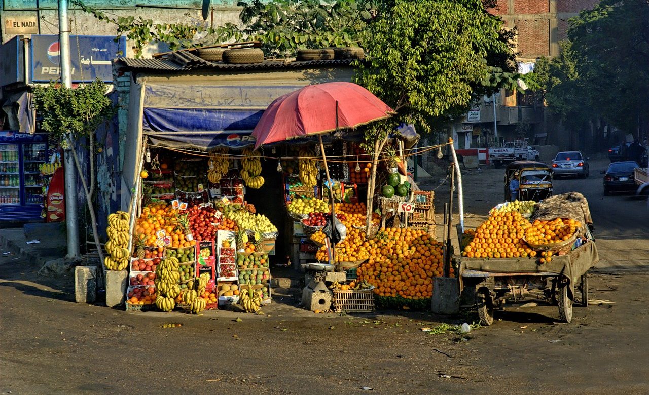 Egypte : l’exportation de produits agricoles vers l’Europe décolle