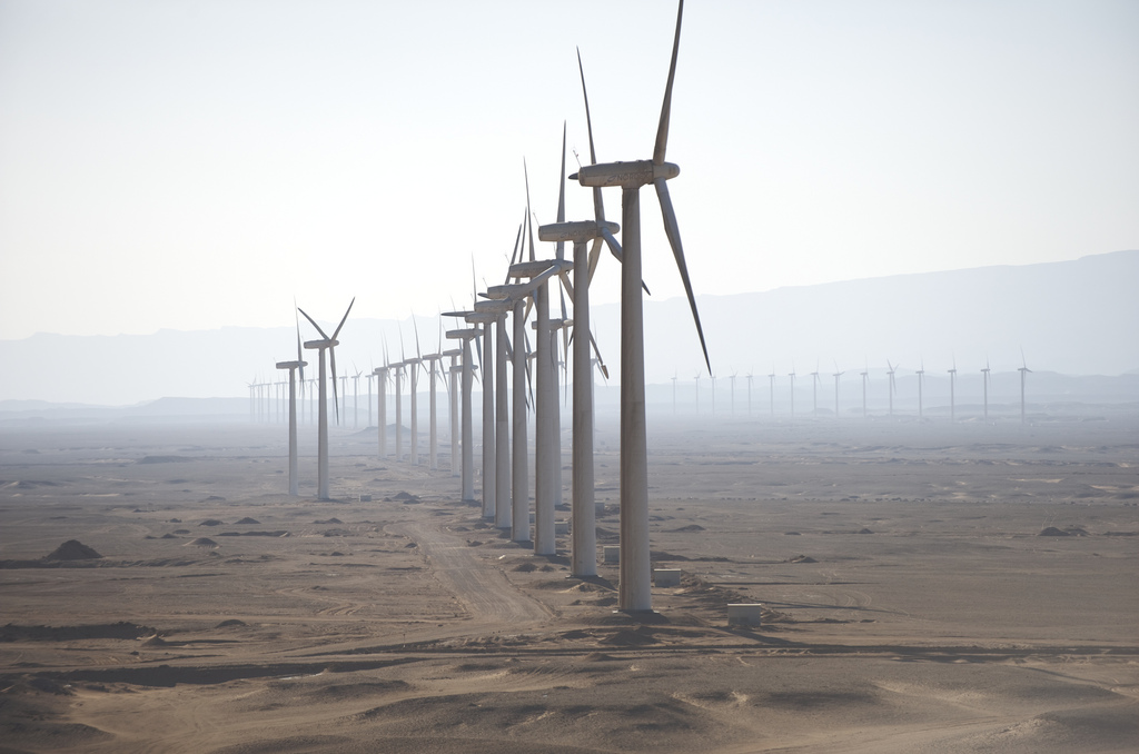 L'Egypte inaugure la plus grande centrale éolienne d'Afrique