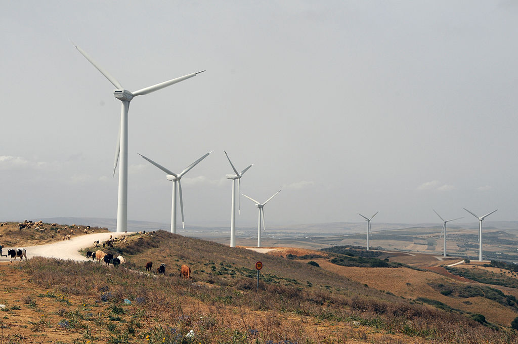 Plus de trente entreprises européennes veulent investir dans les énergies renouvelables en Tunisie