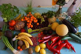 The fruit and vegetable export to Russia generated $465 million to Egypt 2