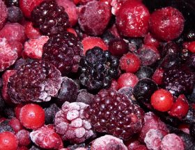 Le Maroc, toujours champion des exportations de fruits rouges