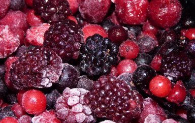 Le Maroc, toujours champion des exportations de fruits rouges