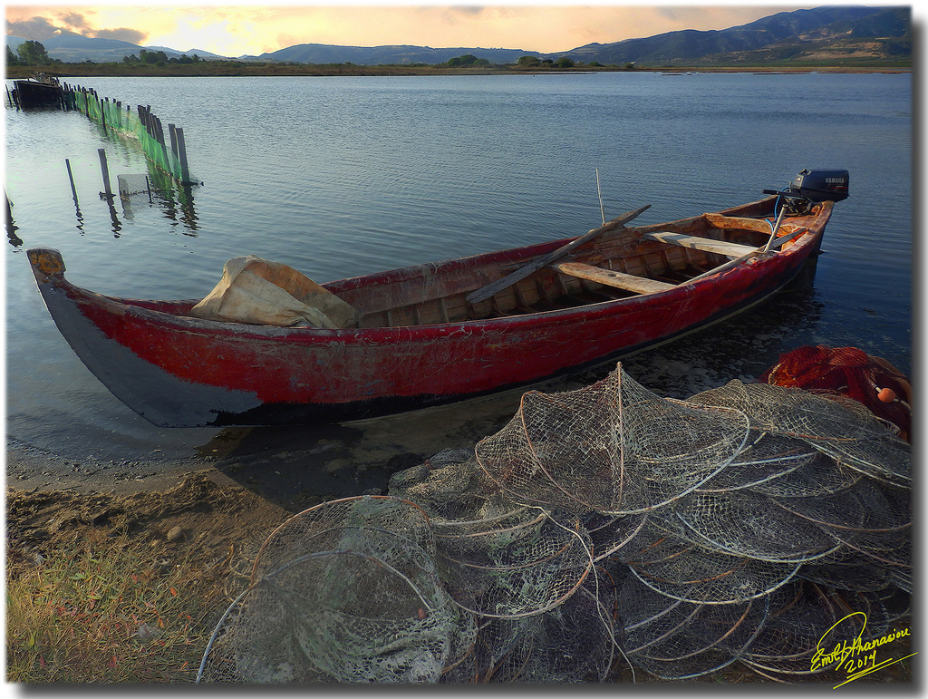 Malgré la baisse du Dinar, l’aquaculture Tunisienne a de beaux jours devant elle.