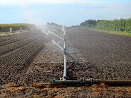 Israël : Nouvelle pénurie d'eau