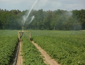 La startup tunisienne iFarming met les algorithmes au service de l'agriculture