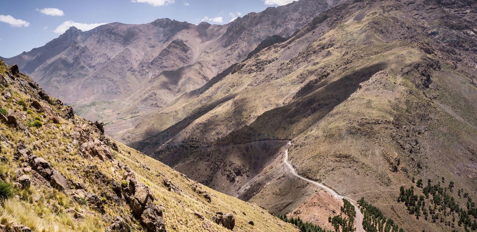 Le Maroc signe un accord pour la protection de sa faune