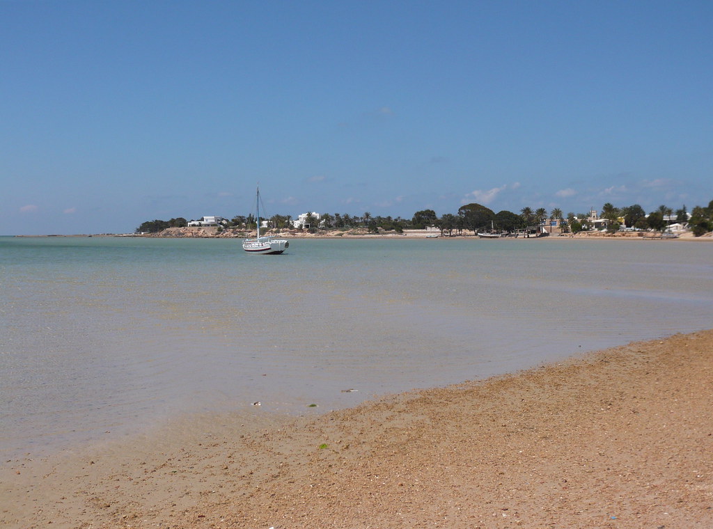 Tunisie : La Région Occitanie développe une coopération maritime axée sur la valorisation du crabe bleu