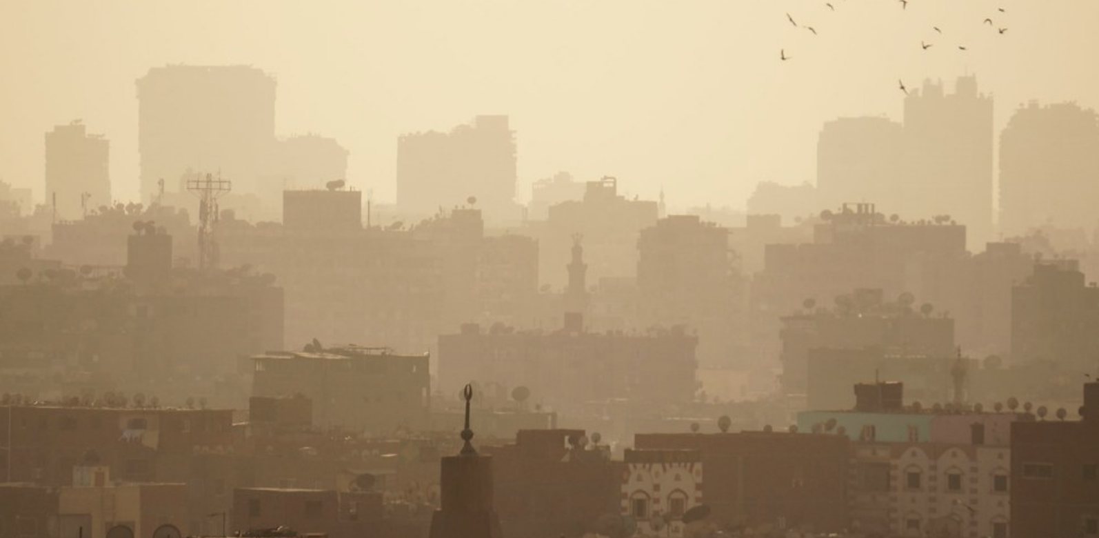 L’Egypte veut lancer un projet de gestion de la pollution de l’air et du changement climatique au Caire