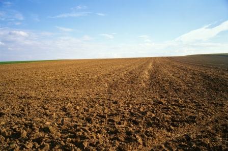 La Tunisie repense la gestion de ses terres domaniales agricoles