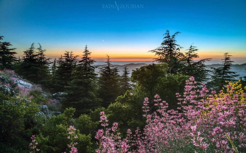 Lebanon: natural reserves are opened for free 2