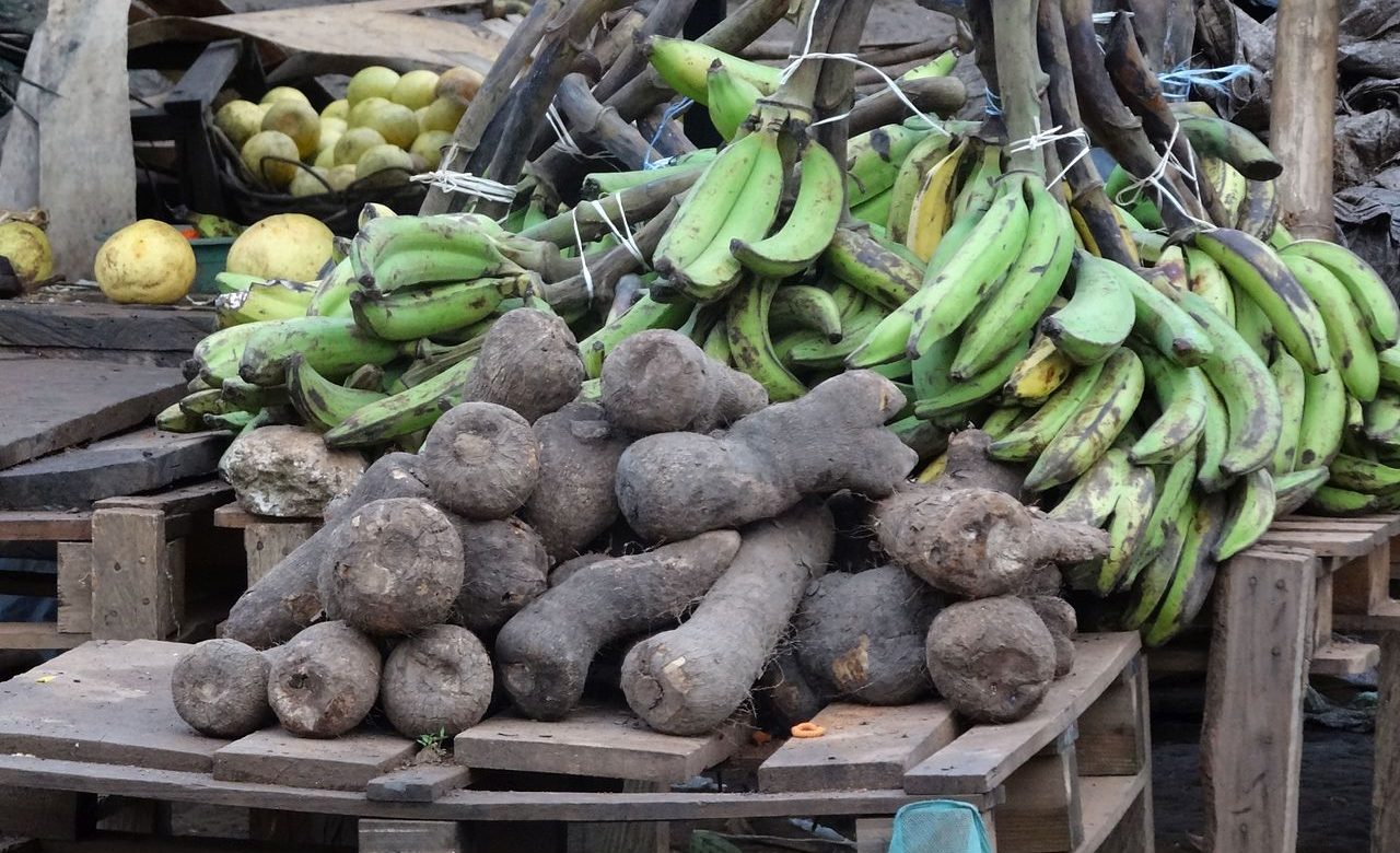 Le Maroc lance une plateforme de commerce de produits agro-alimentaires en Côte d’Ivoire