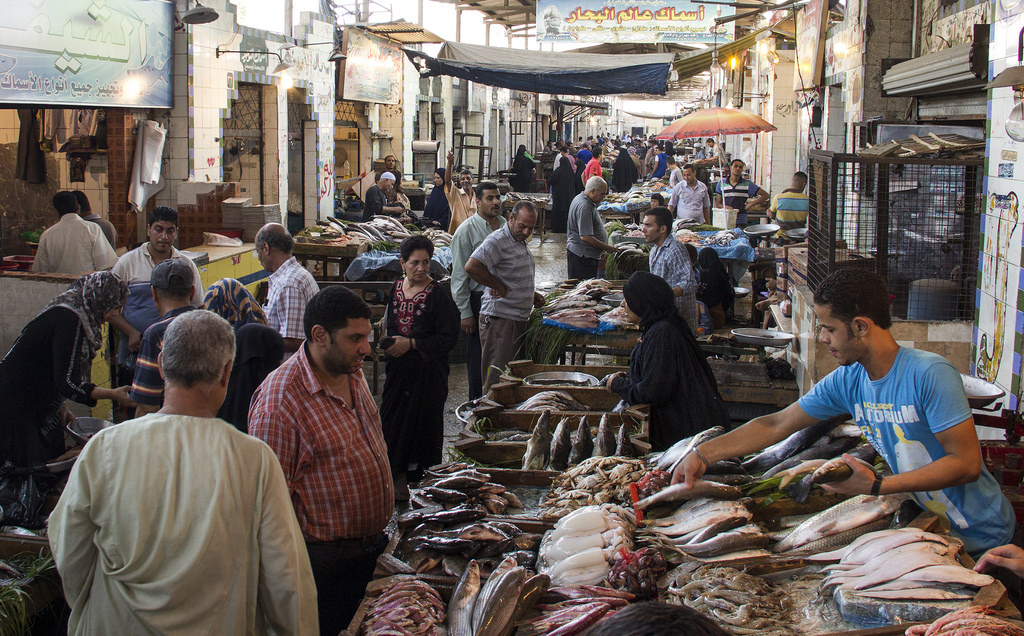 Egypte : des réformes pour pallier le déficit public