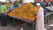 Egypt: 2021 has been a historic year for the agricultural sector, notably thanks to citrus fruits