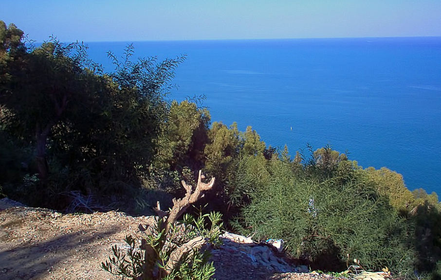 Tunisie : Le MedFund a alloué un financement de 900 000 € pour la préservation de sa biodiversité marine dans les aires protégées du pays 