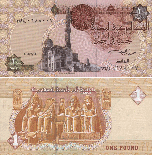 Les expatriés égyptiens veulent lutter contre la dévaluation de la monnaie nationale