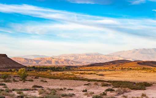 Le Maroc fait face à une grave sécheresse et débloque 22 millions de $ pour ses éleveurs