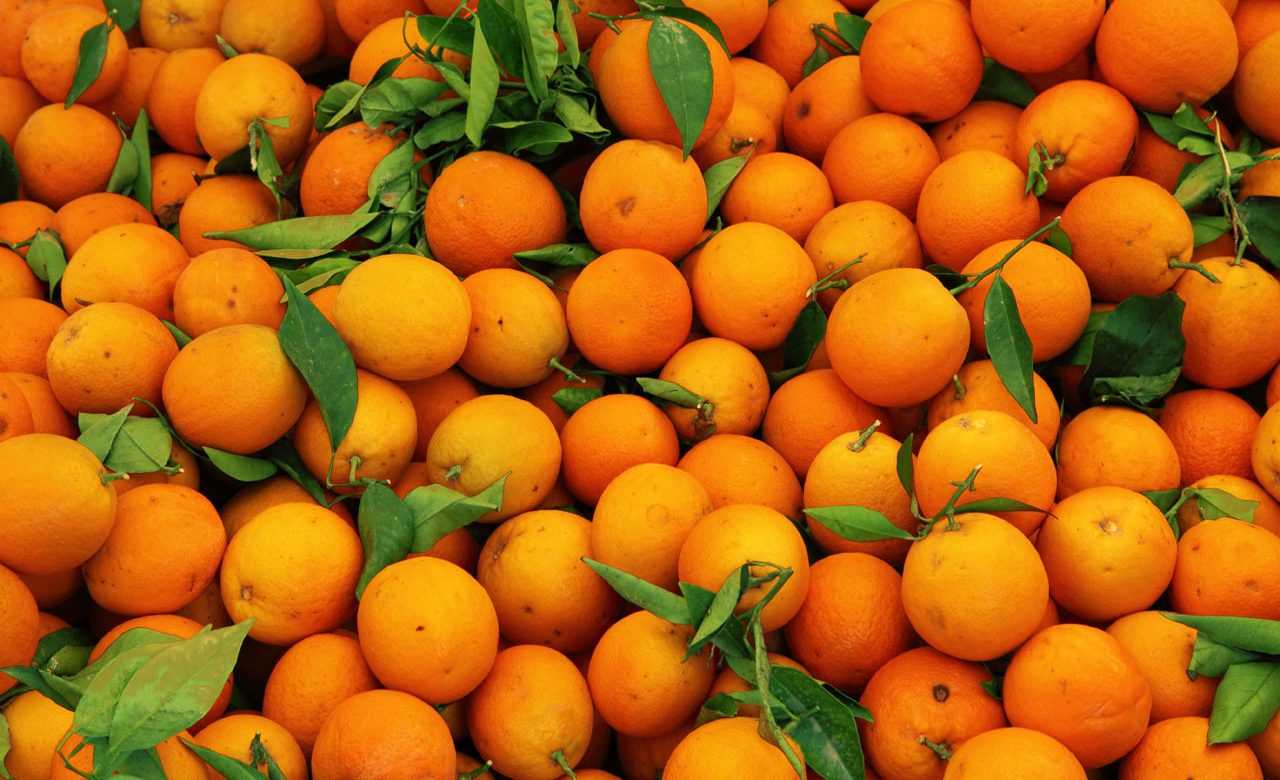 En Tunisie, la production d'oranges devrait atteindre des records en 2017
