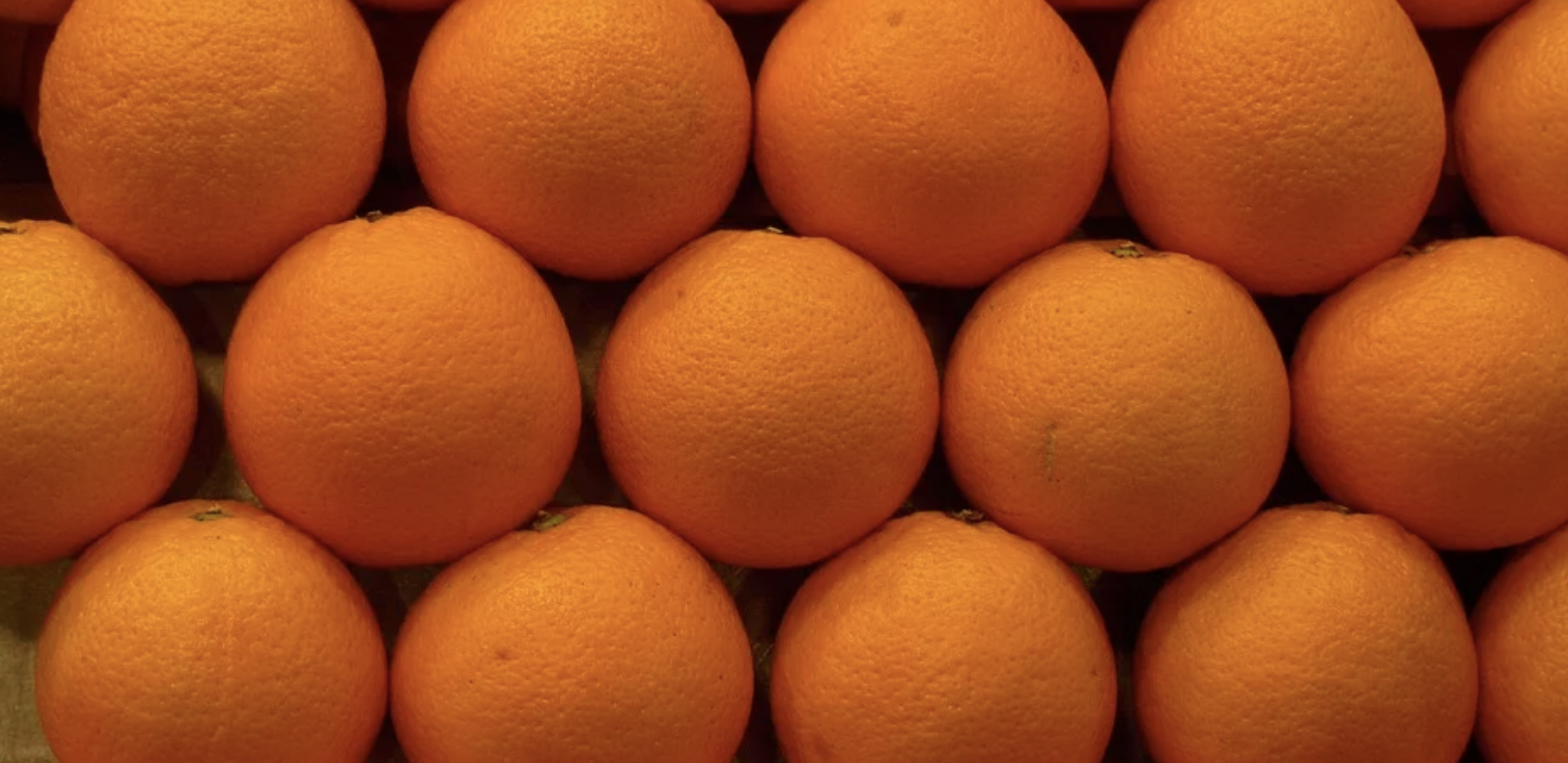 L’Egypte conforte pour la deuxième année consécutive sa place de premier exportateur mondial d’oranges