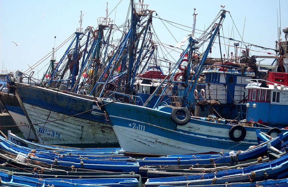 Le nouvel accord agricole entre le Maroc et l’UE : victoire retentissante de la diplomatie marocaine ?