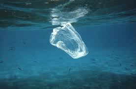 Méditerranée : le plastique, un fléau aux conséquences irréversibles