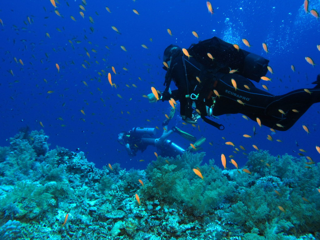Tourisme : l’Egypte refait surface sur le marché de la plongée sous-marine