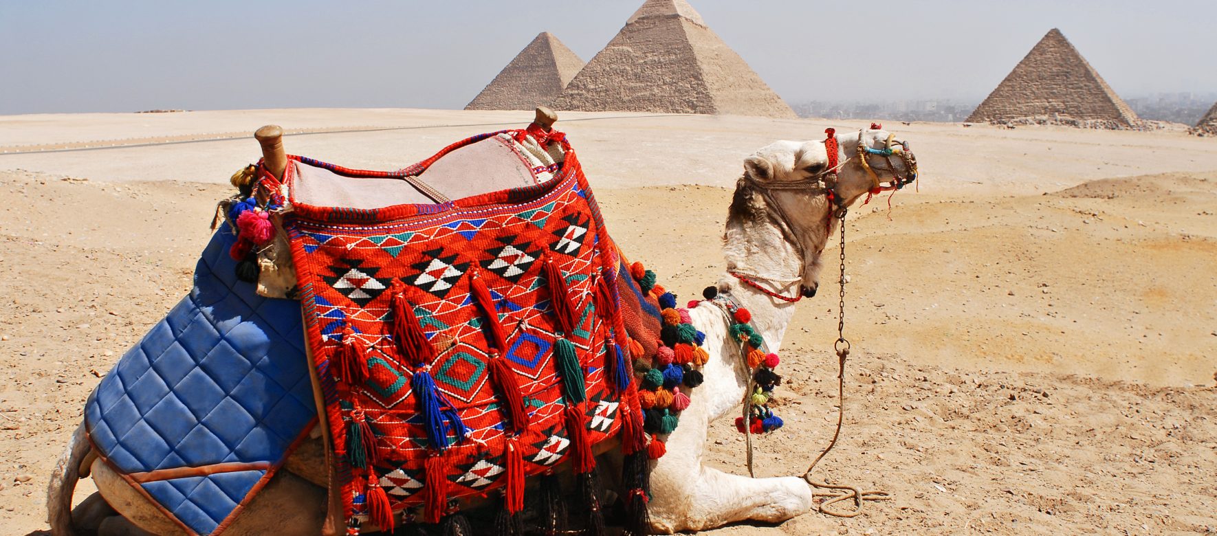 After Tunisia, tourism is now recovering in Egypt 2