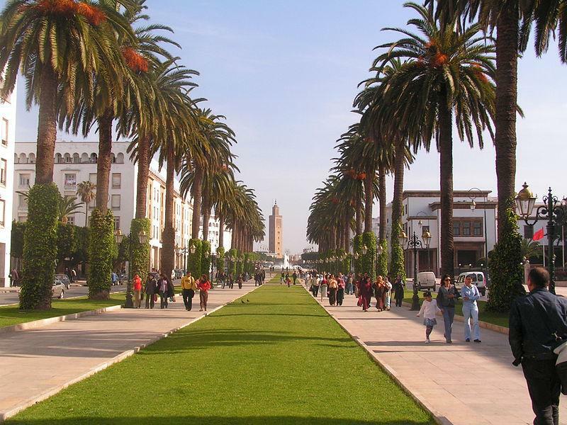 Toulouse et de Rabat collaborent pour créer un nouveau Master en Biotechnologies